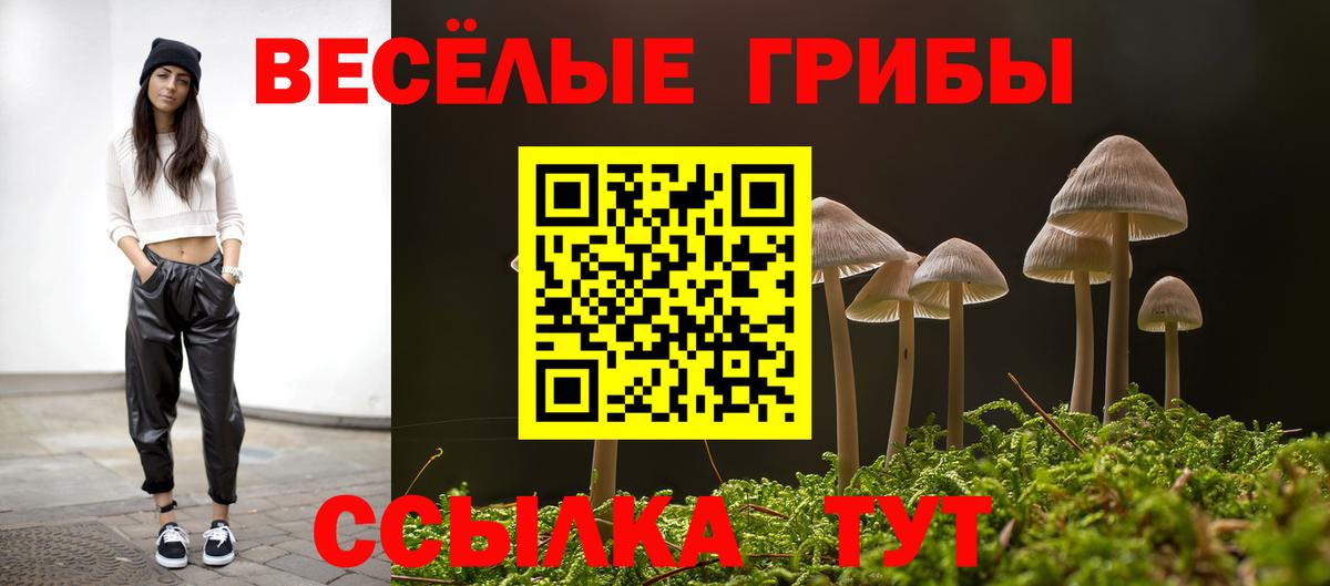 Галлюциногенные грибы GOLDEN TEACHER Губкин