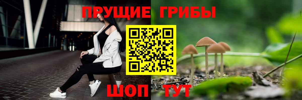 Губкин  Псилоцибиновые грибы мухоморы  Вход с VPN 